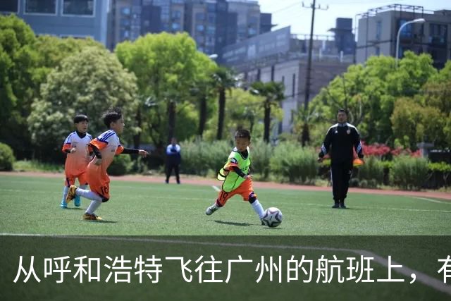 从呼和浩特飞往广州的航班上，有乘客在厕所吸烟，疑似触发警报；航司客服：情况属实，涉事人员已转交给公安机关