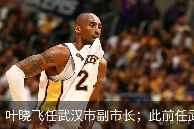 叶晓飞任武汉市副市长；此前任武汉市地方金融管理局局长，9月公示拟任正厅级职务