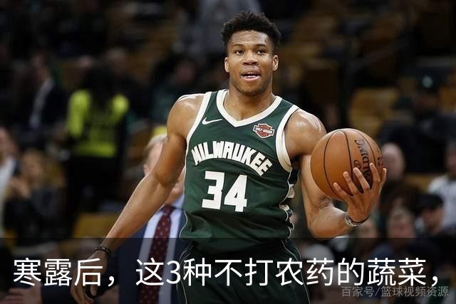 寒露后，这3种不打农药的蔬菜，再贵都要买，强身健体，增免疫