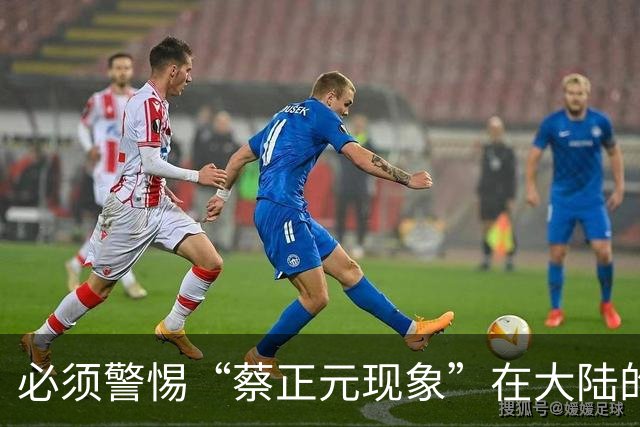 必须警惕“蔡正元现象”在大陆的泛滥