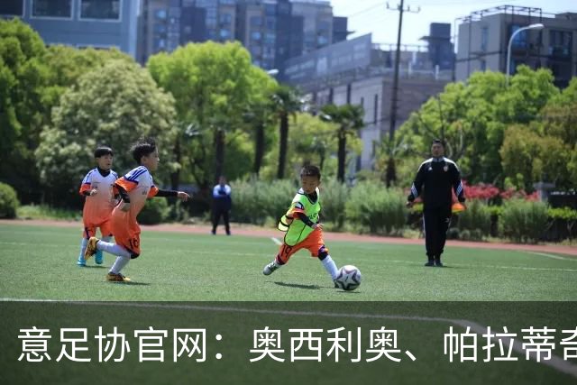 意足协官网：奥西利奥、帕拉蒂奇科维尔恰诺授课