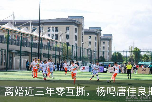 离婚近三年零互撕，杨鸣唐佳良把"不再回应"做成了防火墙