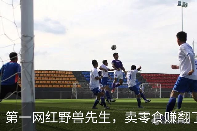 第一网红野兽先生，卖零食赚翻了
