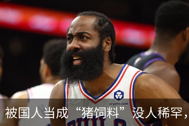 被国人当成“猪饲料”没人稀罕，远销欧美一斤上万，老外都抢着买