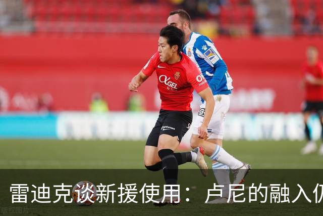 雷迪克谈新援使用：卢尼的融入仍是进行时