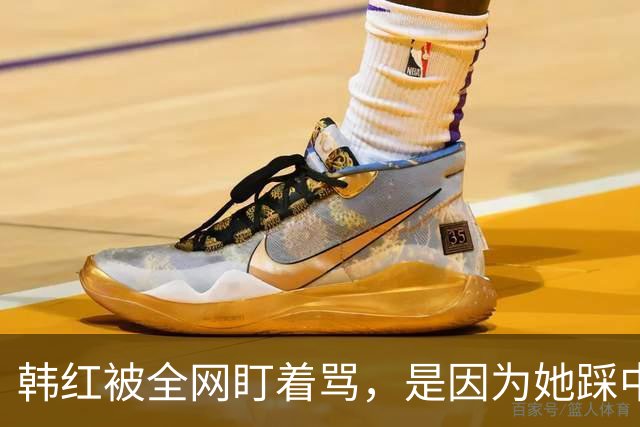 韩红被全网盯着骂，是因为她踩中了，中国观众最讨厌的3个雷区